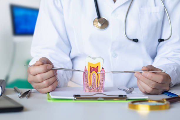 Best Pediatric Emergency Dentist in Fair Oaks, VA